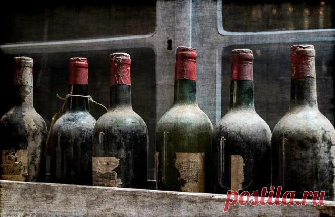 Французские виноделы обнаружили в Шампани клад игристого 120-летней давности | В мире