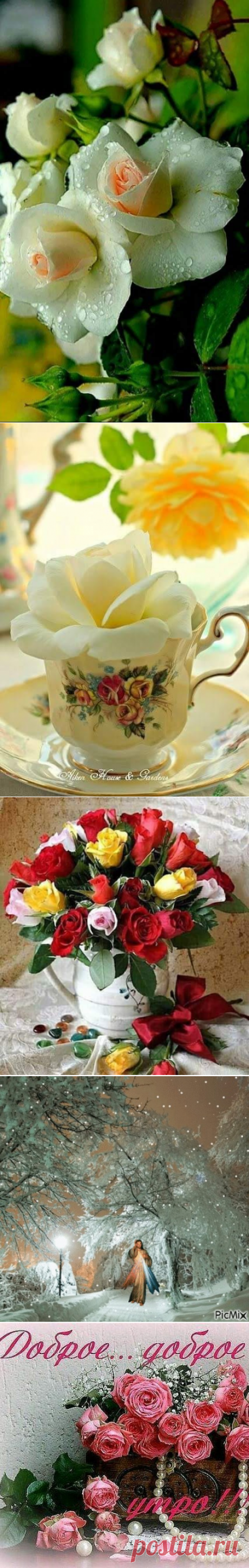 (85) Людмила Берина