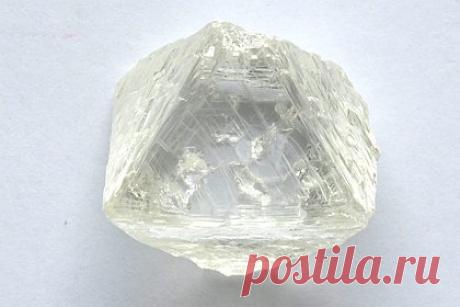 Добытый в Якутии огромный алмаз назвали в честь российского писателя. Добытому в Якутии в шахте «Удачная» алмазу массой 97,32 карата (19,464 граммов) присвоили имя народного российского писателя Андрея Кривошапкина. Драгоценный камень считается огромным — средний размер обычного алмаза составляет 0,3 — 0,6 карата, то есть около 0,5 грамма.