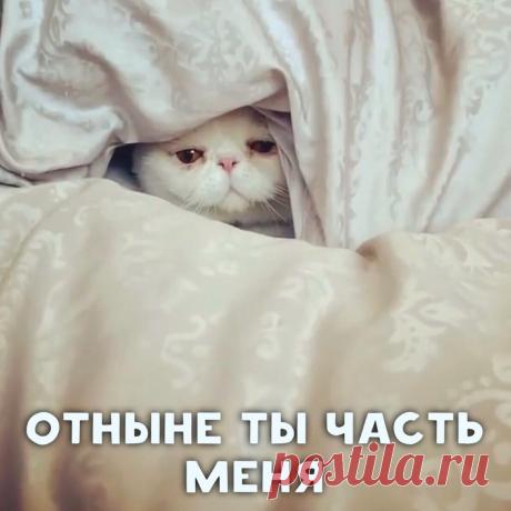 Одно целое, особенно по утрам — Убойный юмор