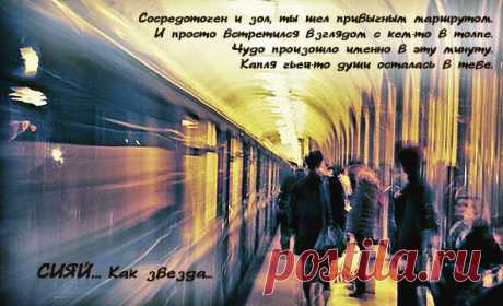Красивые афоризмы
