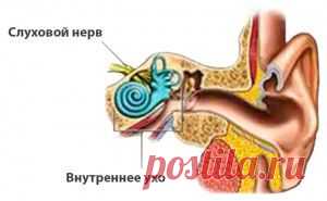 Заболевание кардиосклероз и лечение болезни | Народная медицина