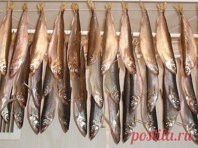 Дары моря.