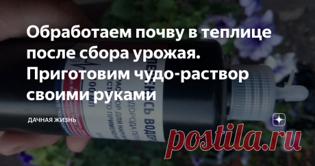Обработаем почву в теплице после сбора урожая. Приготовим чудо-раствор своими руками Данный раствор, который можно приготовить самостоятельно, особенно он будет актуален для защищенного грунта, то есть, для теплиц.
С каждым годом в теплице, если почву ничем не обрабатывать, может накопиться патогенная инфекция, пестициды. В открытом грунте происходит вымывание грунта и очищение естественным путем, благодаря осадкам.
