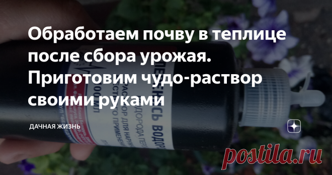 Обработаем почву в теплице после сбора урожая. Приготовим чудо-раствор своими руками Данный раствор, который можно приготовить самостоятельно, особенно он будет актуален для защищенного грунта, то есть, для теплиц.
С каждым годом в теплице, если почву ничем не обрабатывать, может накопиться патогенная инфекция, пестициды. В открытом грунте происходит вымывание грунта и очищение естественным путем, благодаря осадкам.