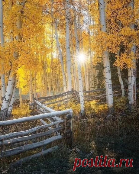 Осеннее путешествие (11)