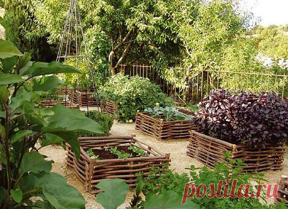 Интересные грядки