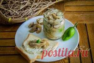 Рецепты закусок с фотографиями