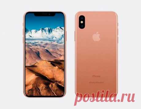 iPhone X в новом цвете Blush Gold может выйти в январе.