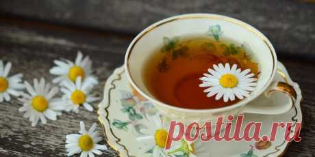 🌼 5 успокаивающих трав. 🌱 Эти растения не только украсят подоконник, но и помогут справиться с тревожностью и раздражительностью