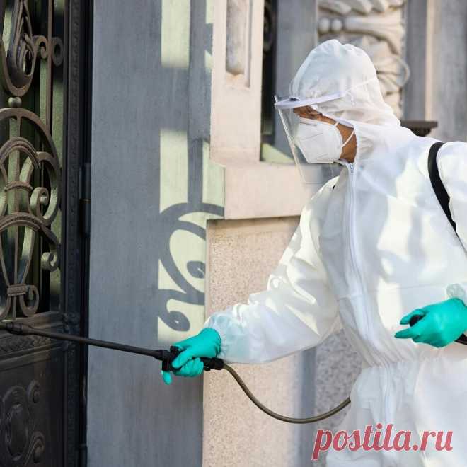 🪰 Профессиональные услуги городской санитарной службы под ключ
🧐 Большой опыт 🤩 Индивидуальный подход 💖 Приятные цены
🌍 Работаем круглосуточно, в 30 городах России 📞 +7(804)700-09-30