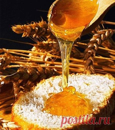 ПОЧЕМУ МЁД ХРАНИТСЯ ВЕЧНО...