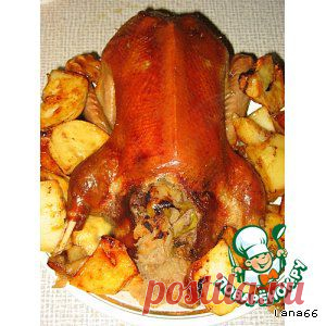 Утка с яблоками, запечeнная в рукаве - кулинарный рецепт