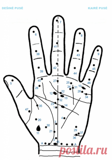 Apgamas ant delno – Egidijus Gubinas