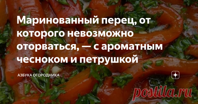 Маринованный перец, от которого невозможно оторваться, — с ароматным чесноком и петрушкой Из болгарского перца получаются очень вкусные заготовки на зиму. Маринованный перец с добавлением чеснока и петрушки – ароматная закуска, которая готовится очень просто: овощи измельчают на кусочки, проваривают в маринаде, раскладывают по банкам, добавляют порубленный чеснок, петрушку, заливают горячим рассолом и закатывают крышками.