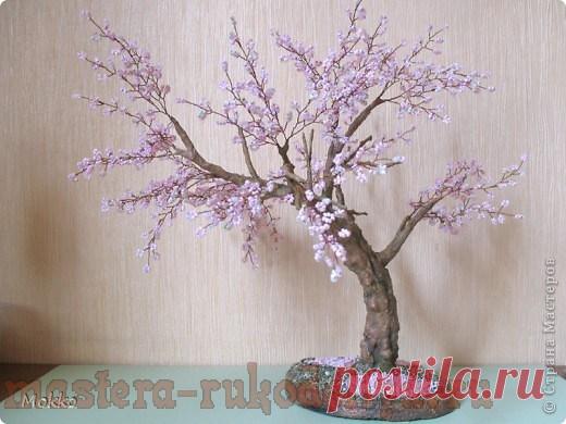 Мастер-класс по бисероплетению: Бонсай Сакура