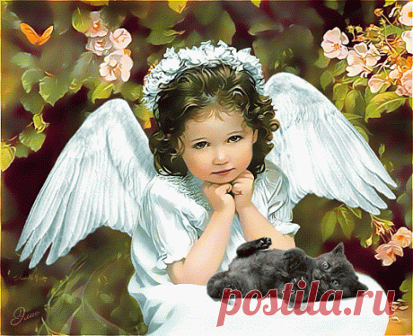 f1385a089d5da417b9613cb98a9eaf06.gif (530×431)