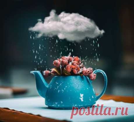 Отражалось утро в чашке чая, облако рисуя лёгким паром. Мы живём, порой не замечая: каждый день- божественный подарок!
#отИриныИстоминой