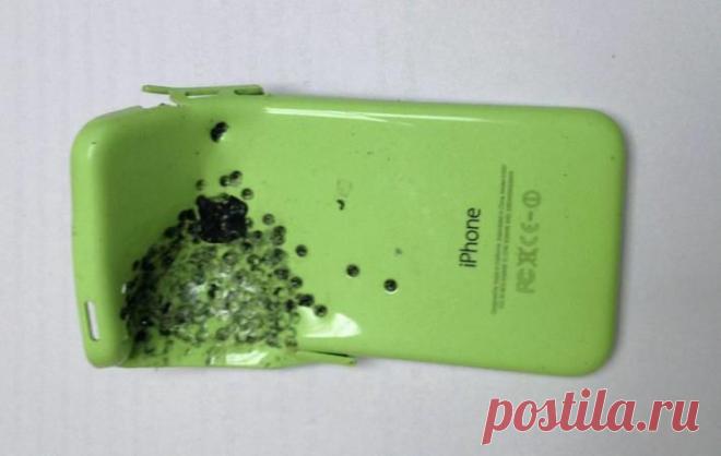 iPhone спас британцу жизнь | МК - Лондон