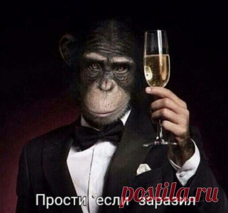 Интернет сообщество шутит про оспу обезьян - Нет скуки.ру. Юмор, приколы, смешные картинки и разные интересности..