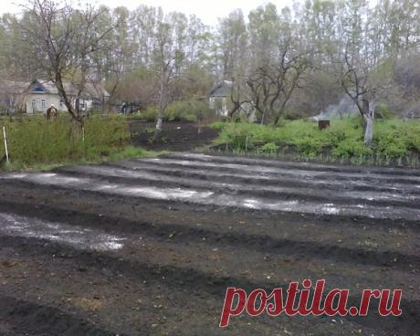 повышаем урожайность картошки