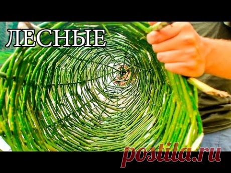 ЛОВУШКА ДЛЯ РЫБЫ - ВЕРША | МОРДА | МЕРЕЖА - Native Russian Fish Trap