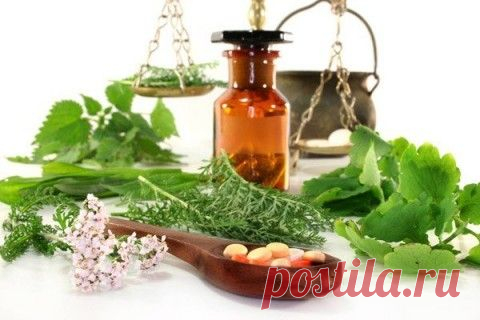 естественная функция каждого человеческого организма - потливость, народная медицина