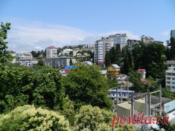 Сочи. |  gd13zyqknmsp.jpg (Изображение JPEG, 600 × 450 пикселов)