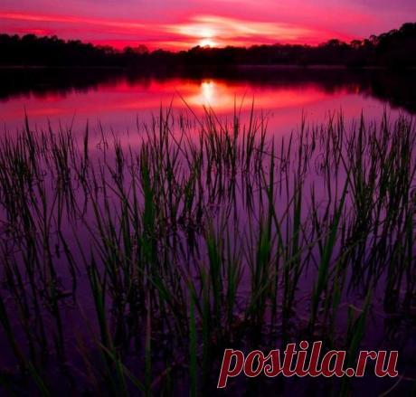 Лучшие пейзажи сельской местности Великобритании