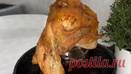 КУРИЦА НА БАНКЕ 😳