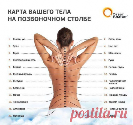 Карта тела на позвоночном столбе.
