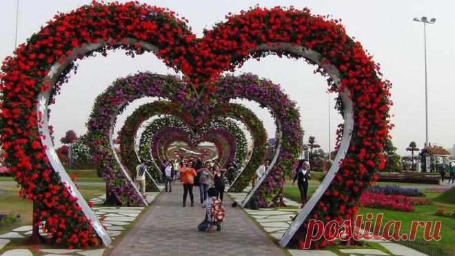 Семь и одна ночь плюс вторая поездка в Эмираты - Страница 3 • Форум Винского