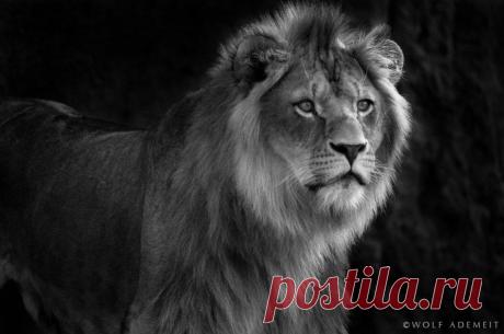 Фотографии на стене сообщества | 19 484 фотографии