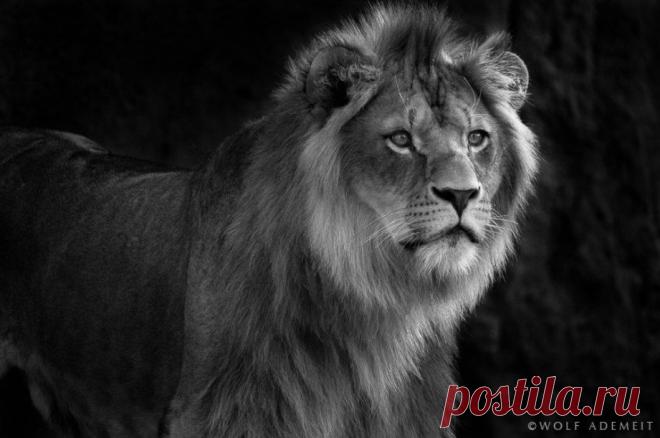 Фотографии на стене сообщества | 19 484 фотографии