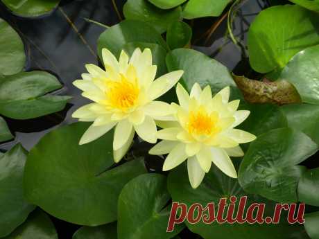 Редактировать описание