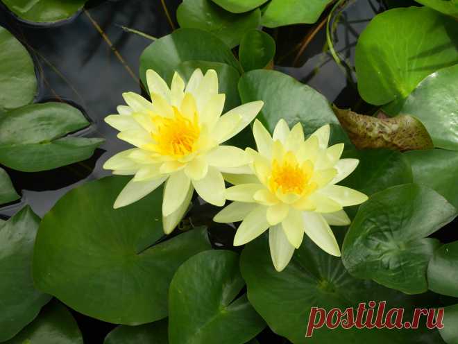 Редактировать описание