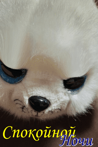 Спокойной  ночи
