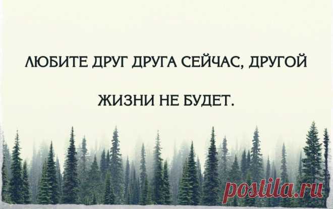 Любите друг друга сейчас, другой жизни не будет | Мир позитивных новостей
