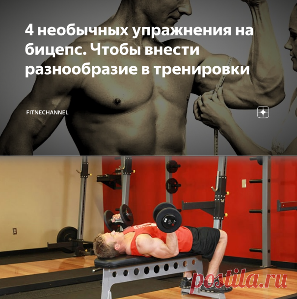 4 необычных упражнения на бицепс. Чтобы внести разнообразие в тренировки | fitnechannel | Яндекс Дзен