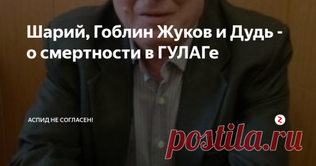 Шарий, Гоблин Жуков и Дудь - о смертности в ГУЛАГе Решил большую статью о разборе обзора Шария  на ролик Гоблина и Жукова о Дуде разбить на маленькие, удобочитаемые фрагменты.
Тут, наверное,самая тяжелая часть. Об условиях в лагерях, смертности, и тои каким нелюдем надо быть, чтобы приравнивать ГУЛАГ к лагерям смерти нацистов.
Основная статья с полным разбором - тут
Я расскажу тебе про Магадан! (с)