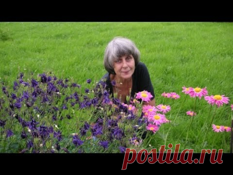 цветы в моём саду