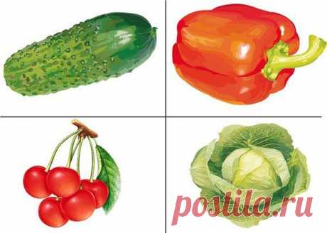 Мои закладки