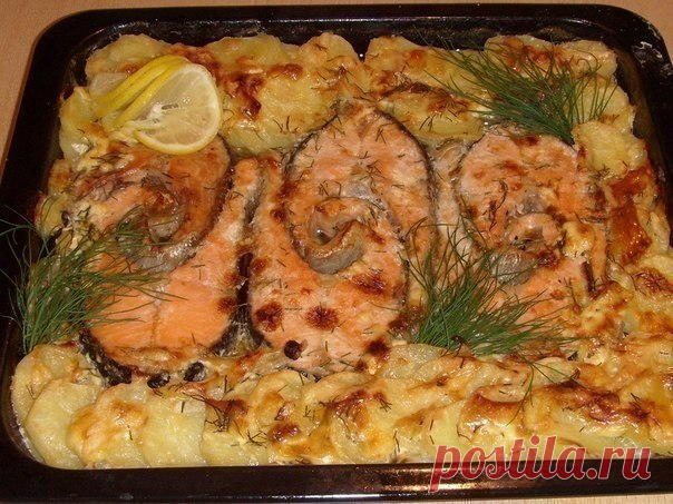 Запекаем РЫБУ – 5 рецептов! | Вкусные рецепты