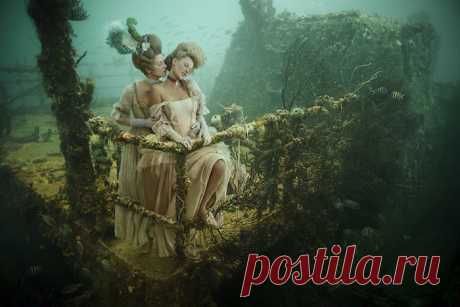 Роскошная жизнь на дне моря: интересный фотопроект от Андреаса Франке