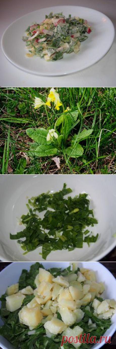 Картофельный салат с черемшой и первоцветом | Хлеб-Соль
Очень непродолжительное время отведено природой на то, чтобы успеть приготовить этот вкусный и, главное, полезный салат с первоцветом и черемшой. Важно не упустить его!