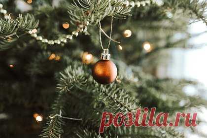 Россиянина подвесили на крюк крана и заставили украшать ель. В городе Покровске в Якутии заметили мужчину, подвешенного на крюк строительного крана. Отмечается, что он наряжал городскую ель высотой в несколько этажей. Искусственное дерево с редкими ветвями оказалось украшено лампочками и «сосульками». На видео показано, как кран спускает мужчину на землю.