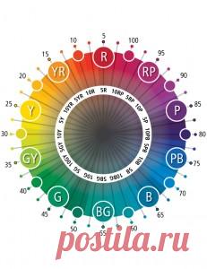 Комплиментарные цвета - что вы о них не знали - Красота, вдохновленная природой