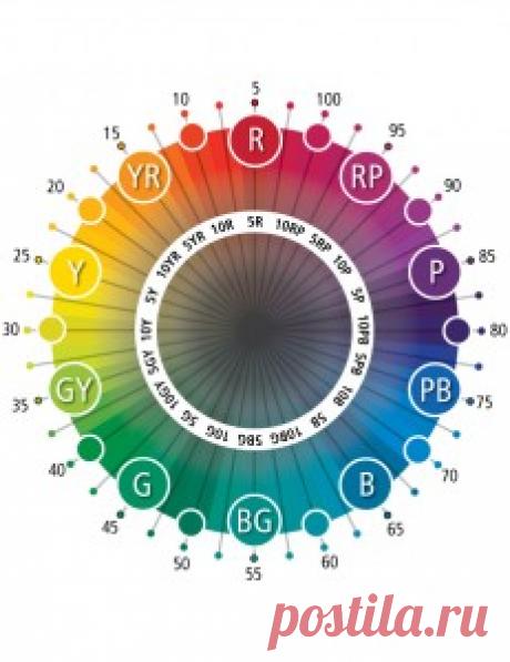 Комплиментарные цвета - что вы о них не знали - Красота, вдохновленная природой