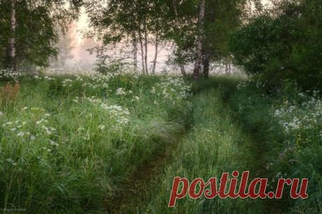 Мой Мир@Mail.Ru