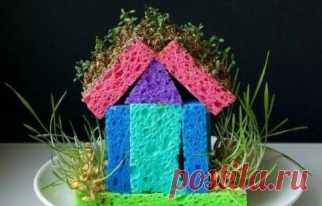 Домик с зеленью из губок